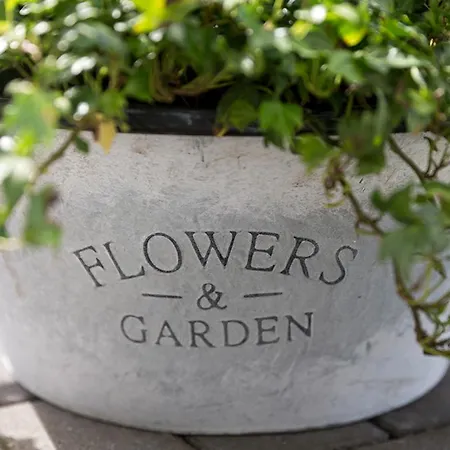 Ferienhaeuser Zingster Perlen Ξενοδοχείο Zingst